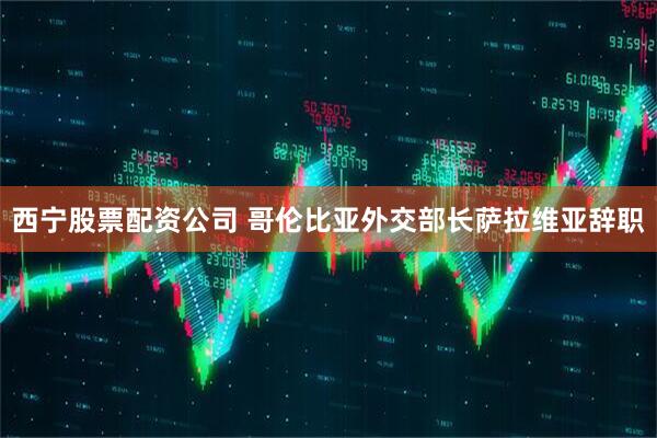 西宁股票配资公司 哥伦比亚外交部长萨拉维亚辞职