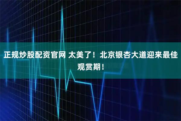 正规炒股配资官网 太美了！北京银杏大道迎来最佳观赏期！